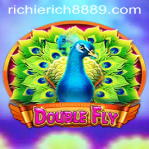 DoubleFly: Navigate the Skies with RichieRich888